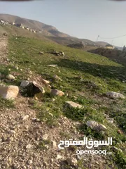  22 قطعة أرض للبيع مميزة بأطلالة مرتفعة وبسعر مغري
