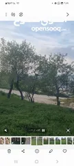  2 ارض كوشان طابو منطقه B مطله وكاشفه. وسط البلد يصلها شارع وجميع الخدمات حولها فلل