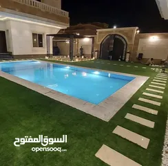  31 عشب ملاعب / عشب حدائق / عشب مدارس / عشب مزارع / عشب صناعي/ نجيل / تارتان Playground grass