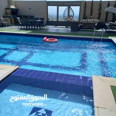  11 شاليه عيد للايجار الغور الشونة الجنوبية السكنة