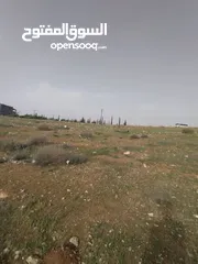  13 3600م للبيع رحاب بني حسن مرتفعه ومطله ع طريق اريد الزرقاء من المالك مباشره