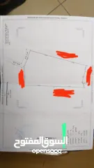  1 أرض على الطريق الواصل نحو الظاهرية ( واد كلاب ) - مباشرة من المالك