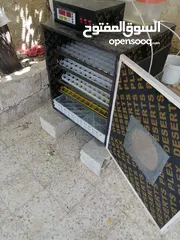  3 فقاسه للبيع 352 بيضه