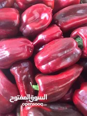  7 دبس فليفله شغل بيت