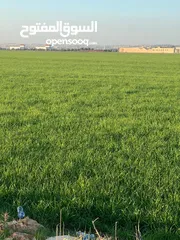  2 ارض للبيع الحصن ام الابار الشرقية