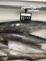  29 ‏للبيع سمك