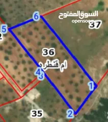  2 قطعة ارض دونم و 400 متر