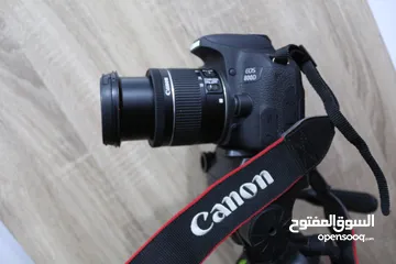  10 كاميرا كانون D800 بسعر مغري