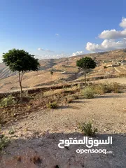  18 مزرعة في مغاريب السلط من المالك مباشرة