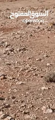  12 قطعه ارض للبيع