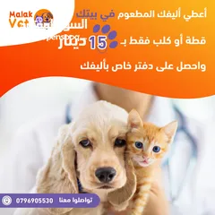  8 خدمات بيطرية متكاملة للحيوانات الاليفة