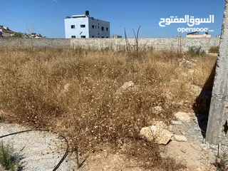  1 ارض مميزة للبيع