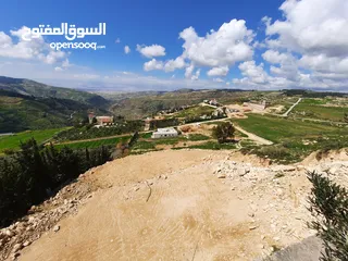  7 اراضي مميزة للبيع في عمان - ناعور - عيون الجاموس