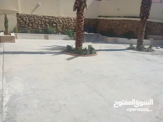  20 عشب صناعي اقل سعر بالمملكة وتحدي بسعر كثافة وثبات لون  يوجد صناعة  اردني  فيتنامي سعودي مصري امراتي