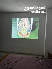  11 بروجكتور Benq mx550 2018 شبه جديد