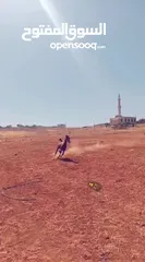  6 مهر بدوي العمر 10 شهور الطول 130 محجل ثلاث مطلق يمين سياله جميله ساغ سليم مهر ما شاء الله