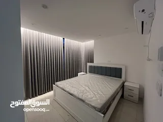 2 شقه مفروشه للايجار في المصيون