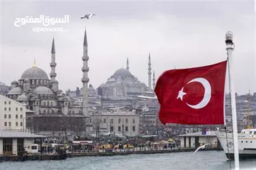  1 مطلوب شقه او استوديو مفروش للايجار
