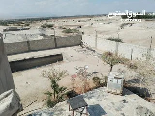  27 مزرعه شالية في منطقه سويمة قرب بحر الميت