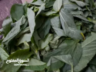  7 ملوخيه ورق وملوخيه ناشفه مفروكه وناعمه بدون عيدان مغسله ومنقبه وجاهزه لطبخ