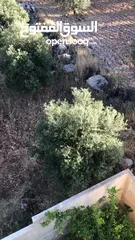  10 قطعة أرض مميزة في بدر الجديدة للبيع بسعر مغري تطل على المخابرات والمدينة الطبية دابوق