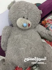  2 دبدوب كبير