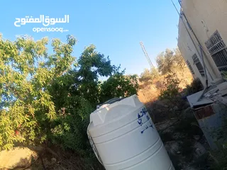  9 بيت مستقل تقريبا مزرعه مشيكه كامله مزروعع عنب وحمضيات مساحه البناء 160م وغرفه خارجيه 40م الواقع احلا
