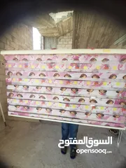  1 برداي غرفه نوم بنات   150×200 تركي اصلي بسبب السفر