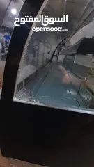  2 ثلاجة بعلبكي  عرض للكيك