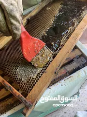  3 عسل كينا بلدي طبيعي 100% للبيع
