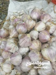  6 يتوفر تمور خلاص جودة ونغال وبرني كما يتوفر ثوم عماني حصاد السنة