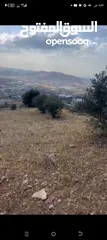  5 ارض سكنيه للبيع موقع مميز جداً