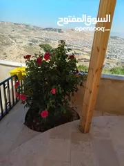  11 للبيع 200لف