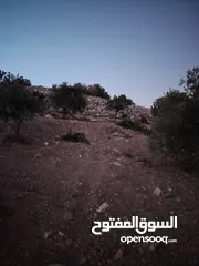  13 ارض للبيع مساحة4300م وعلى الواقع 12دونم تصلح بيت ريفي شاليه ارض زراعيه ويوجد فيها بيت قيد الانشاء
