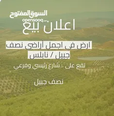  3 شو بتستنا بدك ارض بسعر مغري وكوشان طابو مستقل في اجمل اراضي نصف جبيل متوفر كافة الخدمات منطقة هادئة