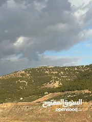  2 ارض للبيع اراضي شمال عمان السليحي بجانب تل الرمان مساحة 3400مترمطله على سد الملك طلال