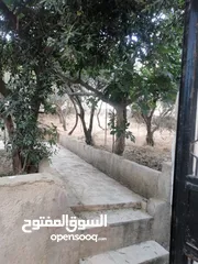  6 بيت معلق منفوض في اسكان ابو نصير حارة 4