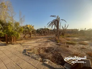  1 ارض للبيع من المالك مباشرة