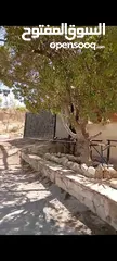  18 شقه من فيلا(غير مفروشة )للايجار طابق اول ب 360 ويوجد شقة صغيره طابق ارضي مدخل مستقل (غير مفروشة)150د