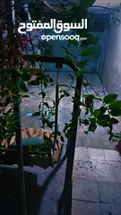  3 بيت للبيع بسعر مناسب