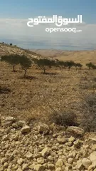  4 مزرعة 6 دونومات في محافظة مادبا غرب ماعين مطلة على البحر الميت وفلسطين الحبيبة