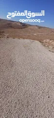  29 قطعه ارض للبيع