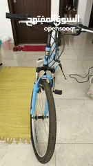  5 bike new blue adult size