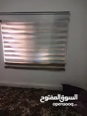  2 برادي زيبرا لون ابيض للبيع