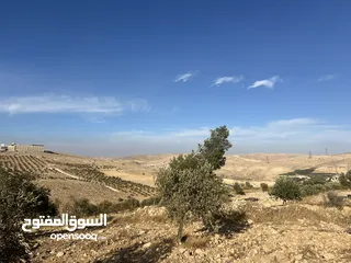  5 بسم الله الرحمن الرحيم  ارض للبيع في صروت مساحه 3531م3 جميع الخدمات ثاني قطعه عن شارع الرئيسي