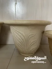  2 دلو زراعه الاشجار