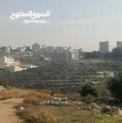  1 ارض مميزه للبيع