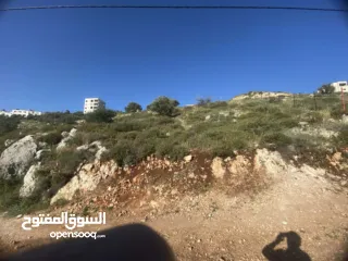  2 ارض للبيع في نابلس الجديدة