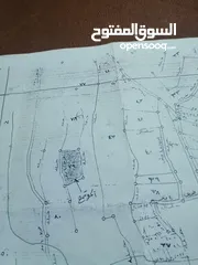  3 فرصة استثمارية مميزة في عصيرة  الشمالية!