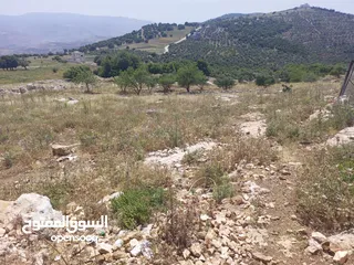  3 نمرة أرض جرش نجدة